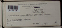 Image Associated With the Occurence